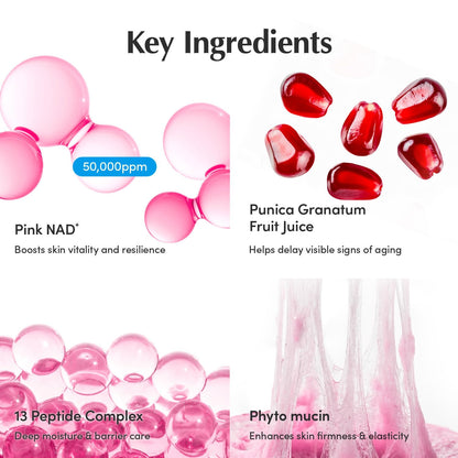 EQQUALBERRY NAD+ Peptide Boosting Cream – NAD+ 5% & 13 Peptides Anti-Aging Korean Skincare Face & Body Cream | Firming & Lifting Pink Neck Cream for Sagging Skin (1.69 fl.oz / 50ml)